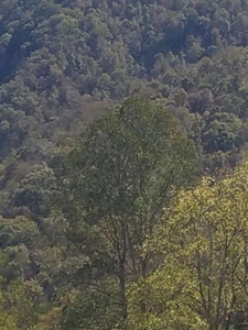 166 Acres in East TN and VA For Sale - image 1