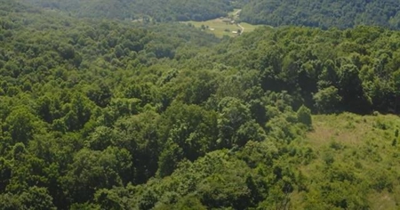 166 Acres in East TN and VA For Sale - image 4