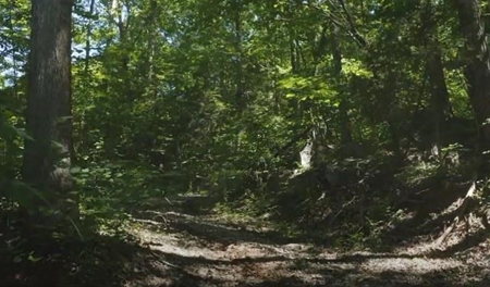 166 Acres in East TN and VA For Sale - image 5