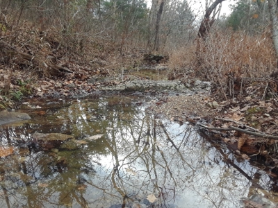Land at Lake of the Ozarks For Sale! 15 Surveyed Acres! - image 9