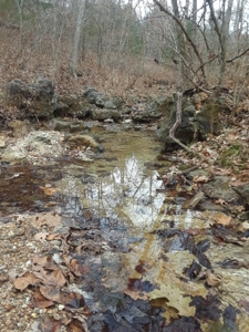 Land at Lake of the Ozarks For Sale! 15 Surveyed Acres! - image 10