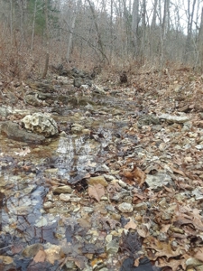 Land at Lake of the Ozarks For Sale! 15 Surveyed Acres! - image 11