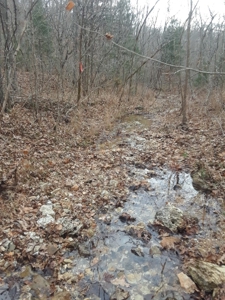 Land at Lake of the Ozarks For Sale! 15 Surveyed Acres! - image 7