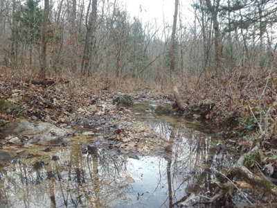 Land at Lake of the Ozarks For Sale! 15 Surveyed Acres! - image 8