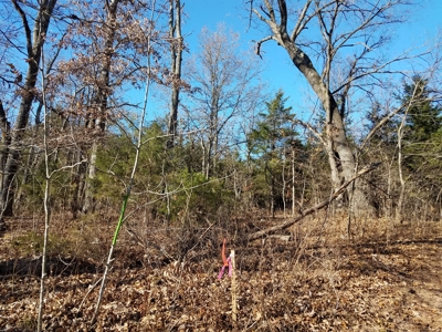 Land at Lake of the Ozarks For Sale! 15 Surveyed Acres! - image 2