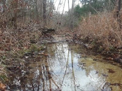 Land at Lake of the Ozarks For Sale! 15 Surveyed Acres! - image 12