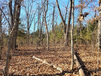 Land at Lake of the Ozarks For Sale! 15 Surveyed Acres! - image 3