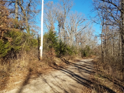 Land at Lake of the Ozarks For Sale! 15 Surveyed Acres! - image 1
