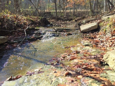 123 Acre Morgan County Ohio Hunting Property - image 26