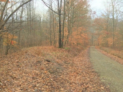 123 Acre Morgan County Ohio Hunting Property - image 30
