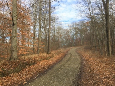 123 Acre Morgan County Ohio Hunting Property - image 31