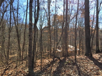 123 Acre Morgan County Ohio Hunting Property - image 16