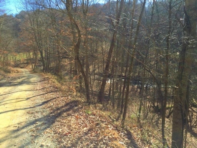 123 Acre Morgan County Ohio Hunting Property - image 25