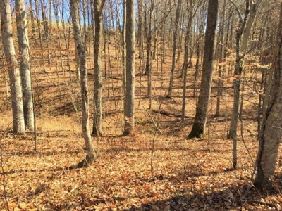 123 Acre Morgan County Ohio Hunting Property - image 7