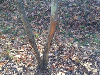 123 Acre Morgan County Ohio Hunting Property - image 24