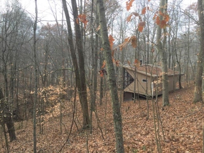 123 Acre Morgan County Ohio Hunting Property - image 28