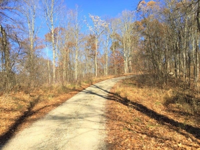 123 Acre Morgan County Ohio Hunting Property - image 8