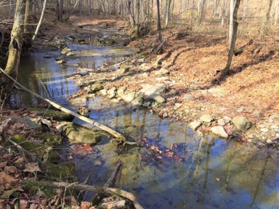 123 Acre Morgan County Ohio Hunting Property - image 18