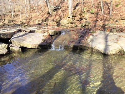 123 Acre Morgan County Ohio Hunting Property - image 22