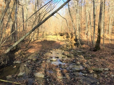 123 Acre Morgan County Ohio Hunting Property - image 19