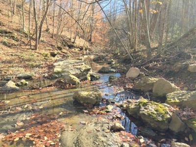 123 Acre Morgan County Ohio Hunting Property - image 23