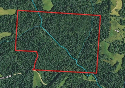 123 Acre Morgan County Ohio Hunting Property - image 46
