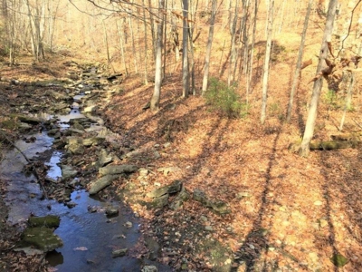 123 Acre Morgan County Ohio Hunting Property - image 21