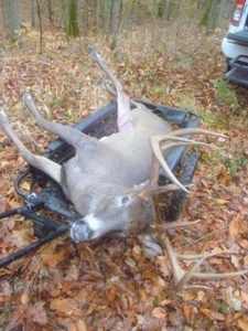 123 Acre Morgan County Ohio Hunting Property - image 3