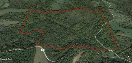 123 Acre Morgan County Ohio Hunting Property - image 48