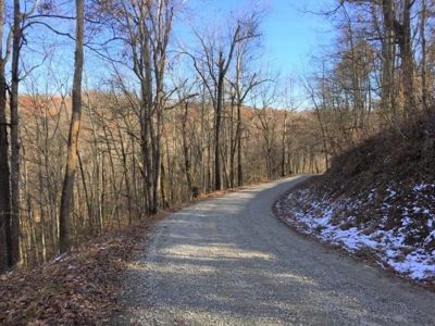 123 Acre Morgan County Ohio Hunting Property - image 4