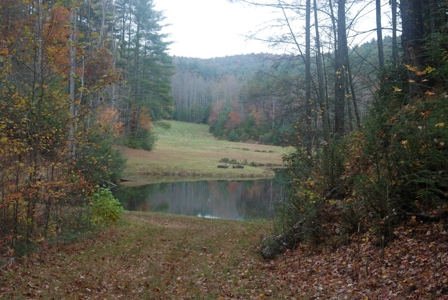 2500 +/- Acres in Watauga County, North Carolina - image 17