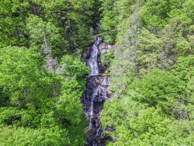 2500 +/- Acres in Watauga County, North Carolina - image 4