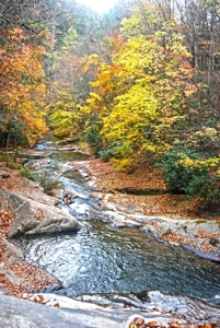 2500 +/- Acres in Watauga County, North Carolina - image 29