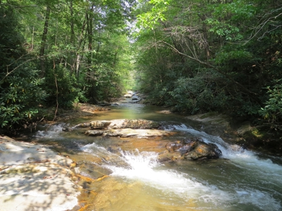 2500 +/- Acres in Watauga County, North Carolina - image 30