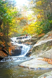 2500 +/- Acres in Watauga County, North Carolina - image 21