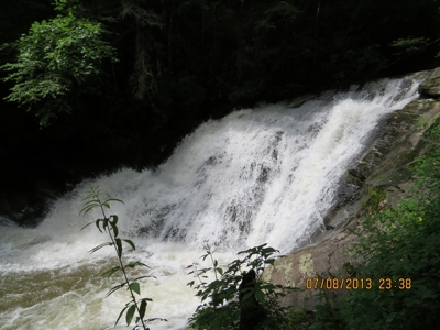 2500 +/- Acres in Watauga County, North Carolina - image 10
