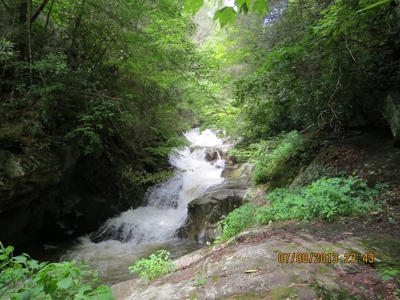 2500 +/- Acres in Watauga County, North Carolina - image 12