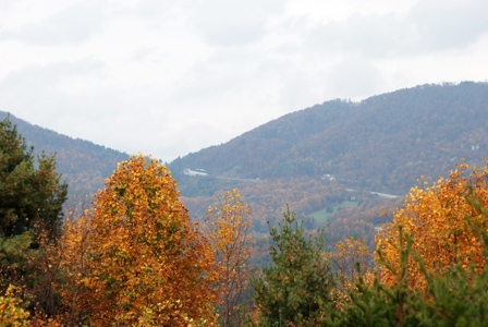 2500 +/- Acres in Watauga County, North Carolina - image 19