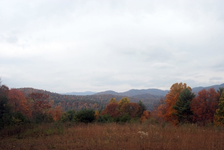 2500 +/- Acres in Watauga County, North Carolina - image 18