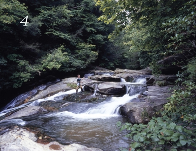 2500 +/- Acres in Watauga County, North Carolina - image 3