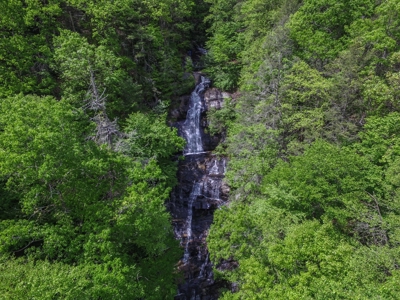 2500 +/- Acres in Watauga County, North Carolina - image 23