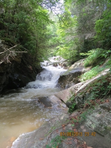 2500 +/- Acres in Watauga County, North Carolina - image 11