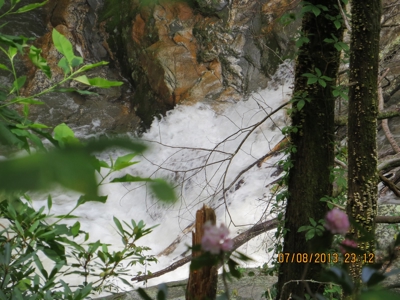 2500 +/- Acres in Watauga County, North Carolina - image 6