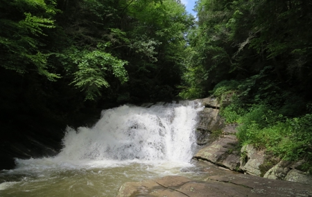 2500 +/- Acres in Watauga County, North Carolina - image 8