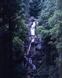 2500 +/- Acres in Watauga County, North Carolina - image 1