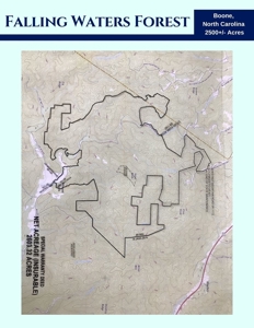 2500 +/- Acres in Watauga County, North Carolina - image 33