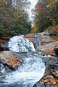 2500 +/- Acres in Watauga County, North Carolina - image 28