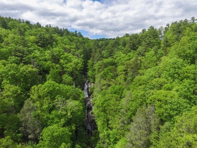 2500 +/- Acres in Watauga County, North Carolina - image 22
