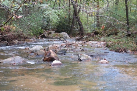 2500 +/- Acres in Watauga County, North Carolina - image 31
