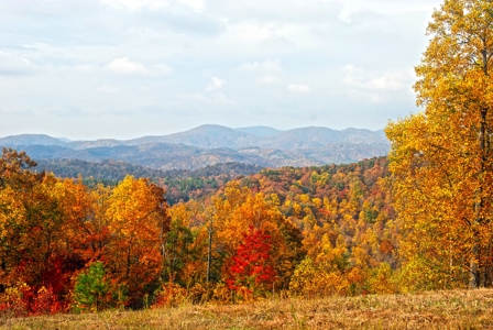 2500 +/- Acres in Watauga County, North Carolina - image 15